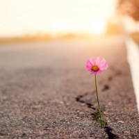 Life is Hard, and That’s Exactly Why It’s&nbsp;Amazing