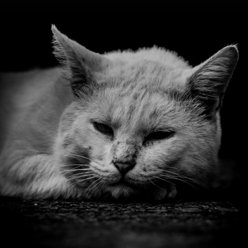 The Modern Day Disease:&nbsp;Loneliness